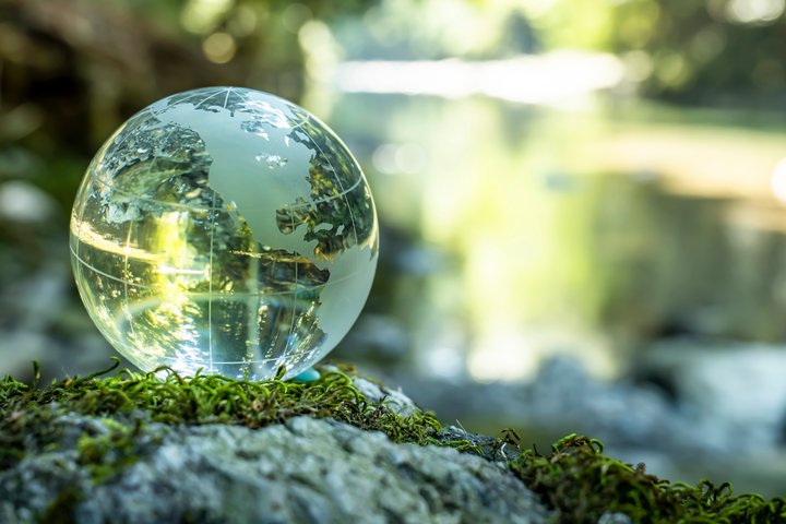 Globe in the forest