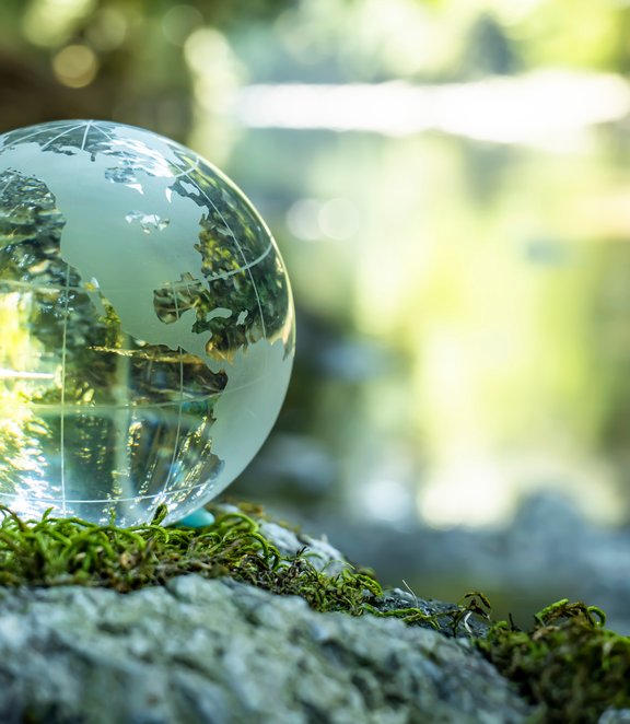 Globe in the forest